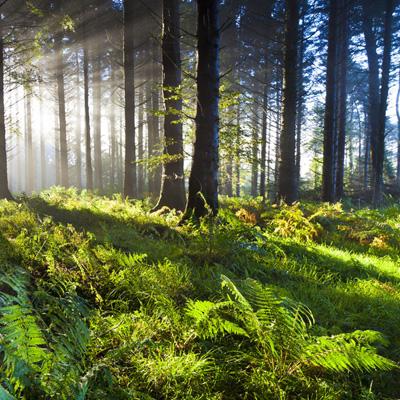 大发彩票appapp下载截图