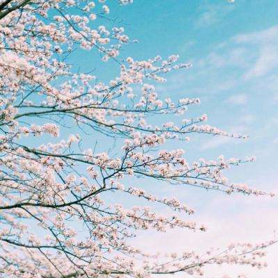 彩神8官网下载手机版